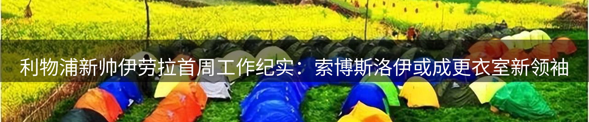 新闻资讯