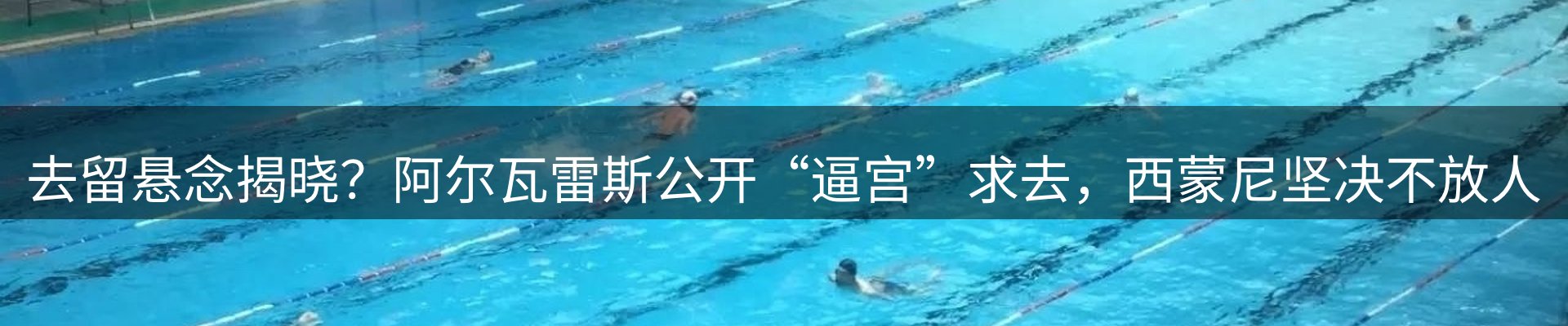 新闻资讯