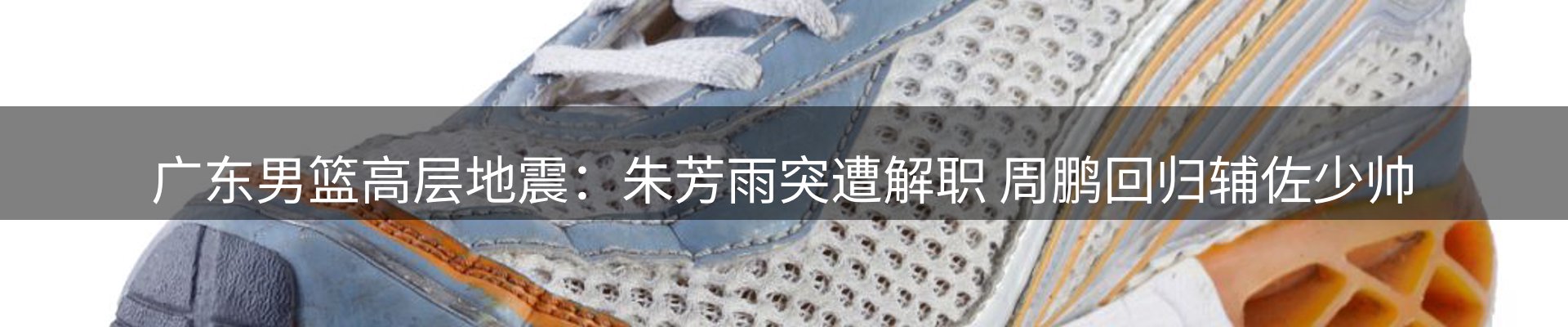 新闻资讯