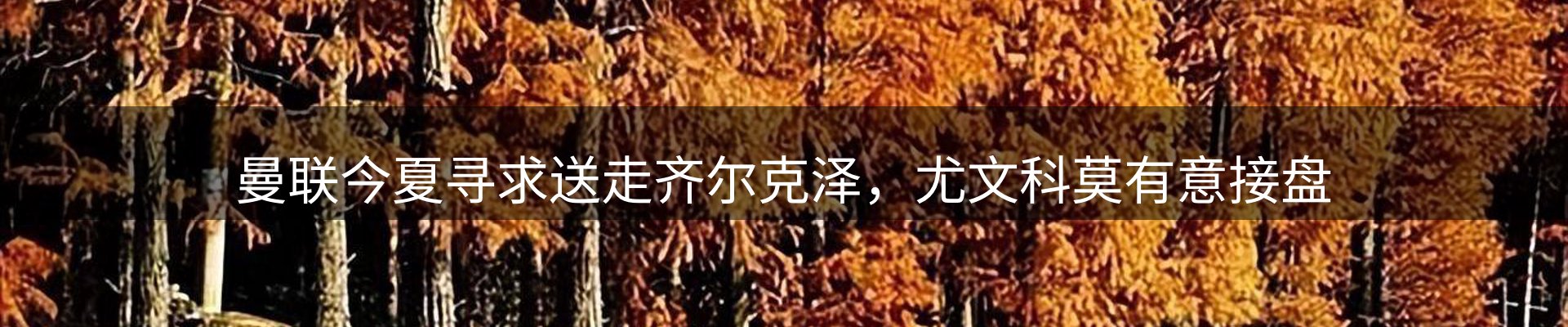 新闻资讯