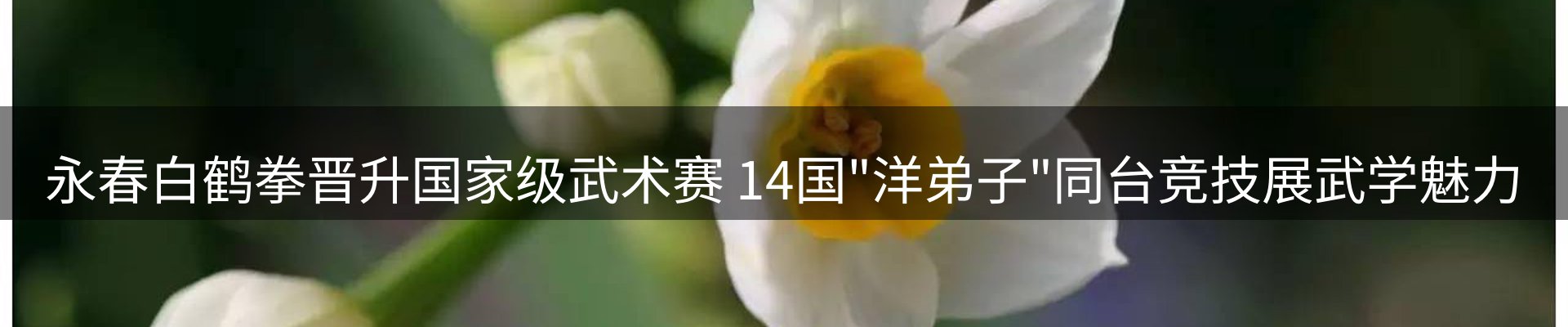 新闻资讯