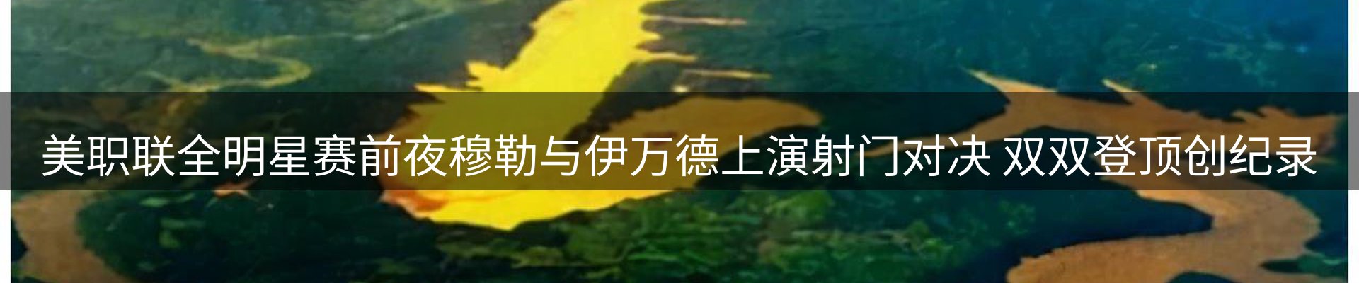 新闻资讯