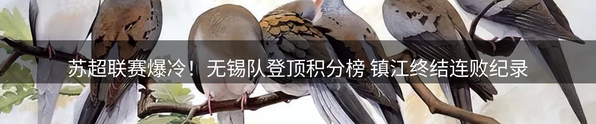 新闻资讯