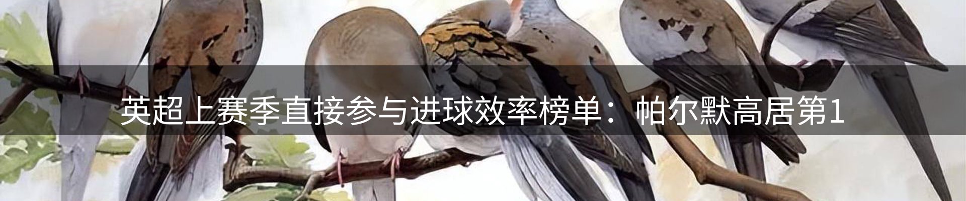 新闻解析