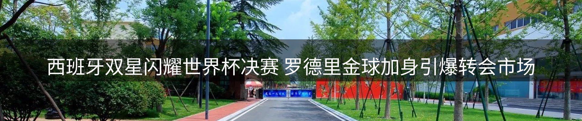 新闻资讯