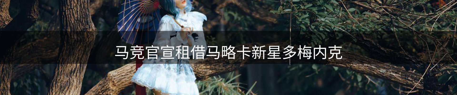 新闻解析