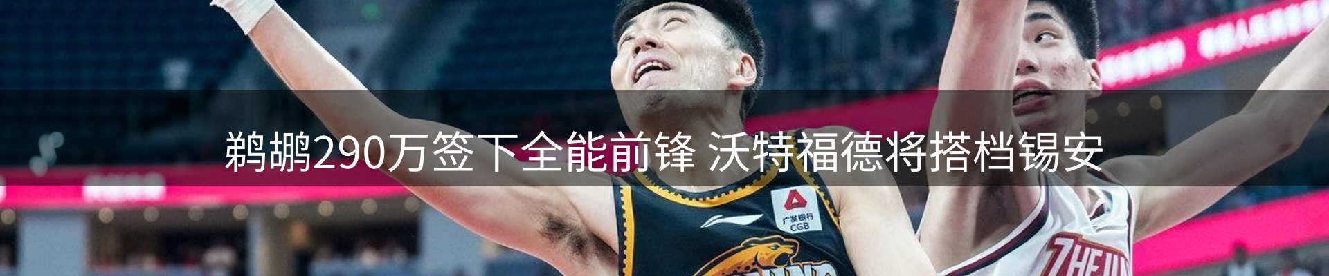 新闻资讯
