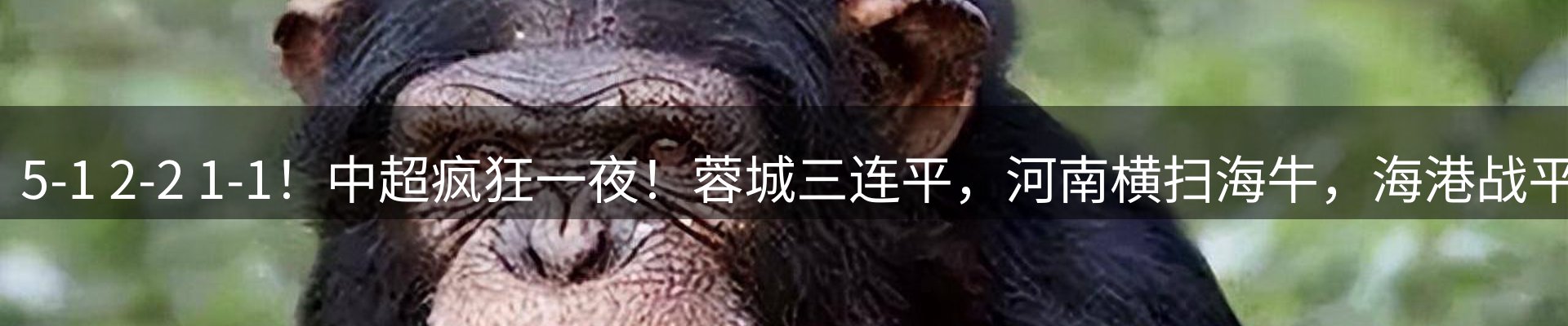 新闻资讯